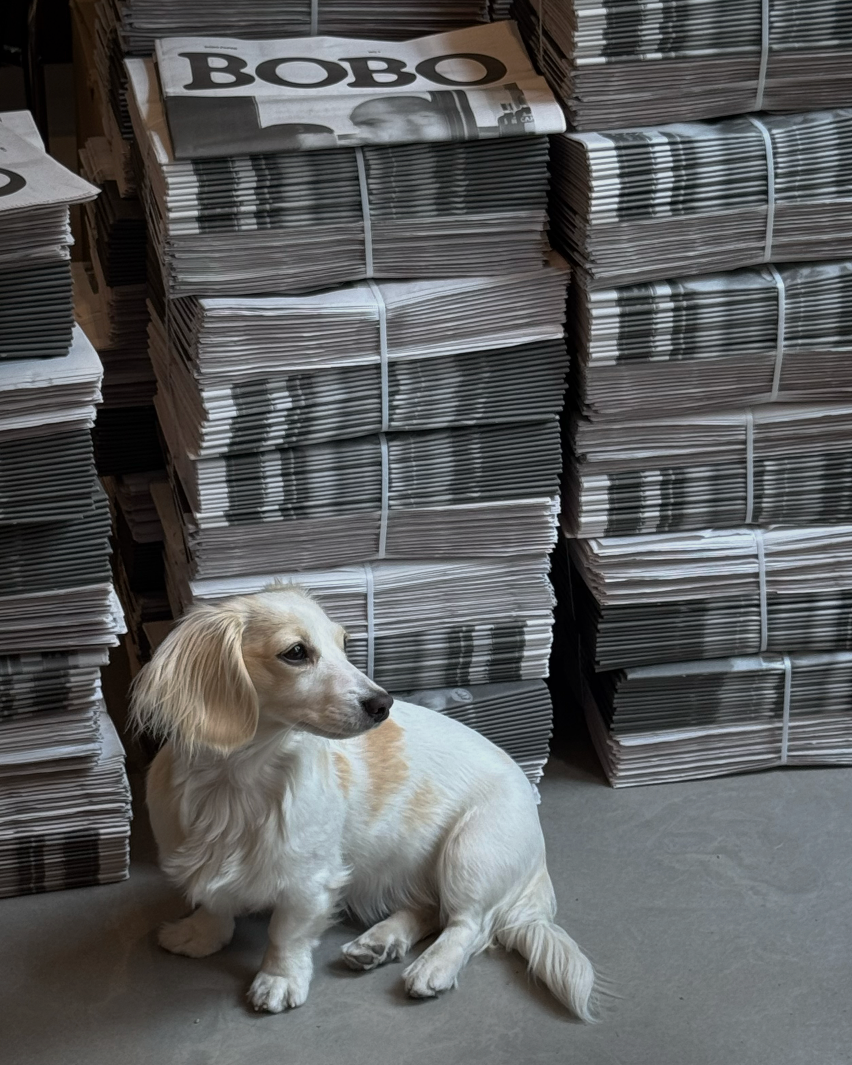 BOBO Paper