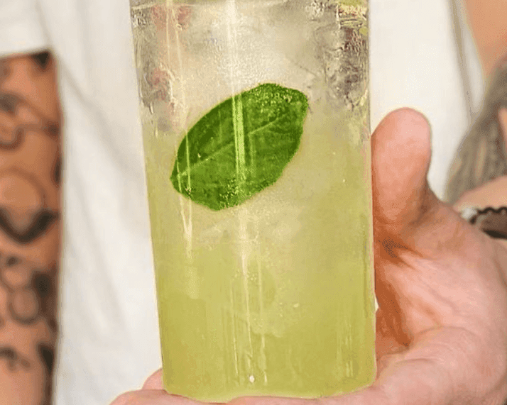 Cucumber Basil Collins - Schooner